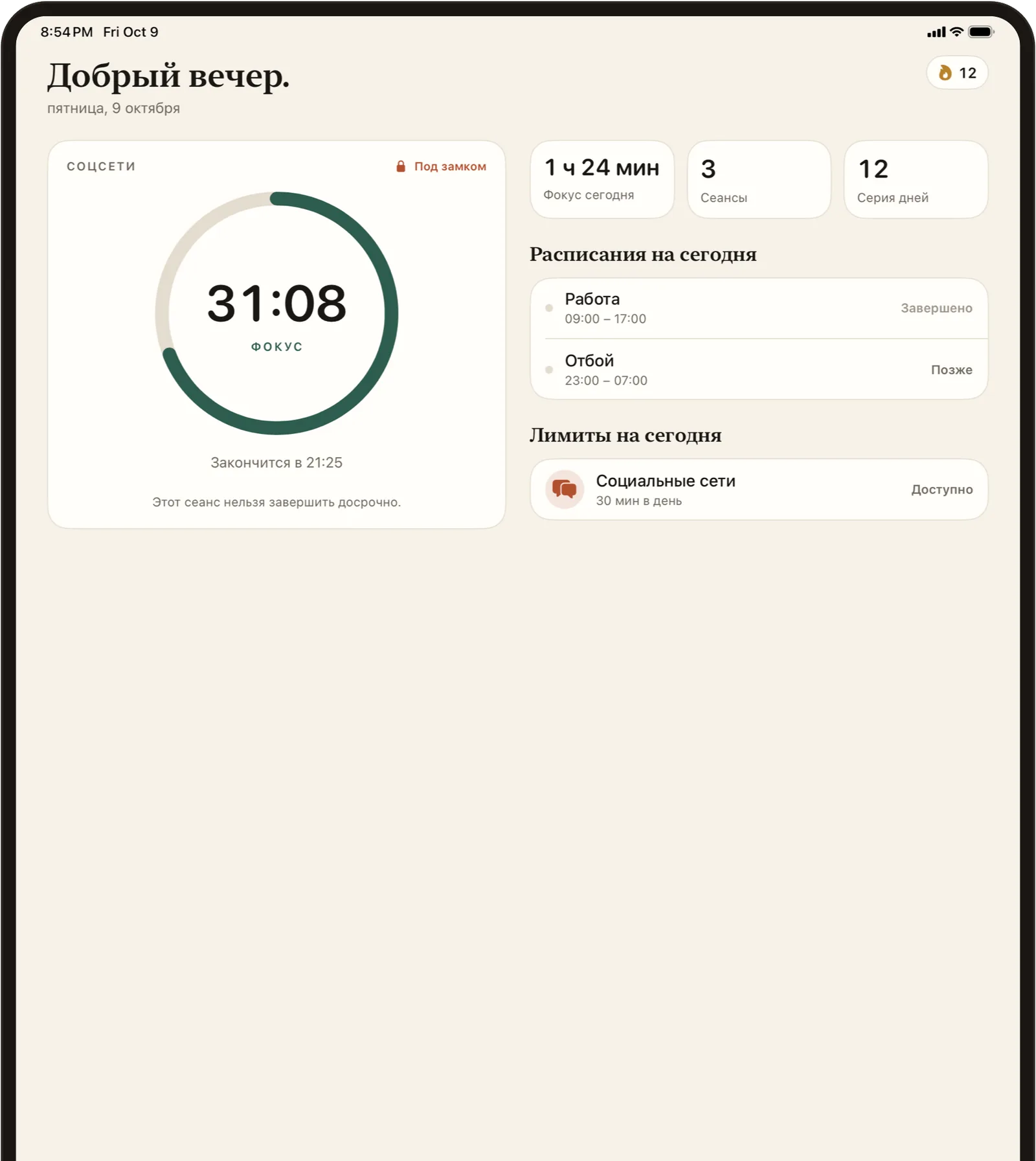 Stillock на iPad: таймер фокусировки, сегодняшние расписания и лимиты рядом друг с другом.